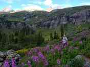 San Juan National Forest
