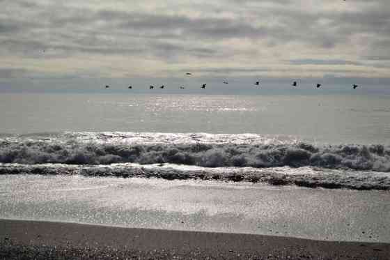 Olympic National Park