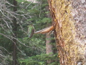 Wimenuche Wilderness