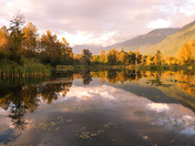 Reflecting on Nature