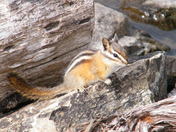 Your in my territory