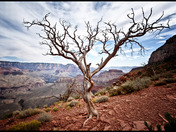 Grand Canyon National Park
