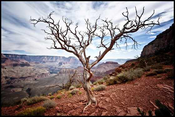 Grand Canyon National Park