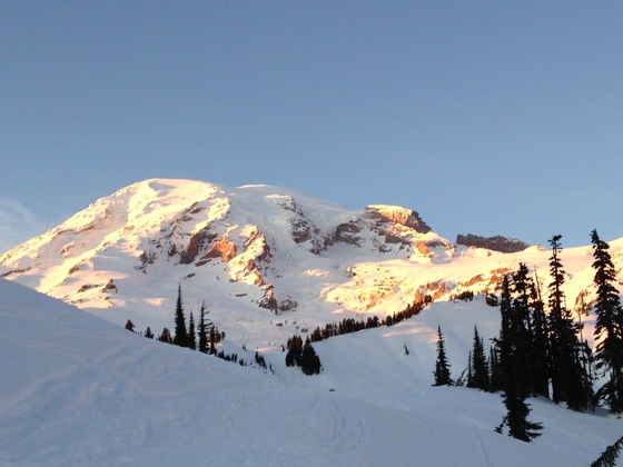 Mout Rainier National Park