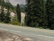 Shasta-Trinity National Forest