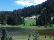 mount rainer / tipsoo trail 