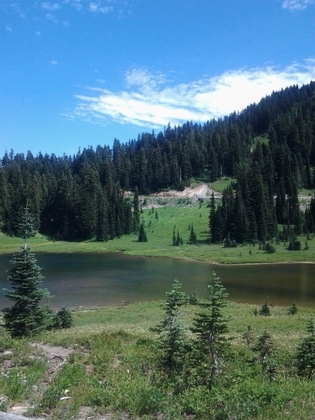 mount rainer / tipsoo trail 