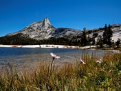 Yosemite National Park 
