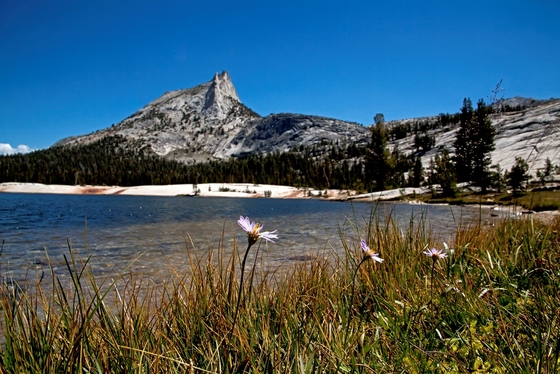 Yosemite National Park 