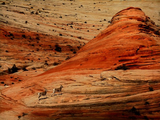 Zion National Park