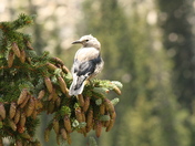 Rocky National Park