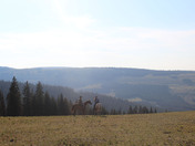 Big Horn National Forest