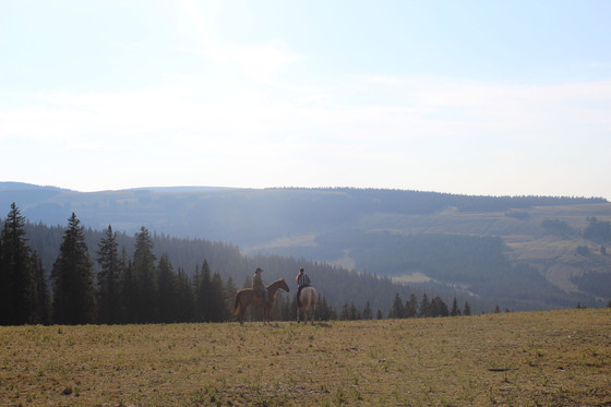 Big Horn National Forest