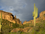 Tonto National Forest/ Superstition Wilderness Area