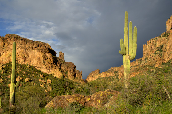 Tonto National Forest/ Superstition Wilderness Area