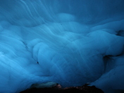 Kenai Fjords National Park