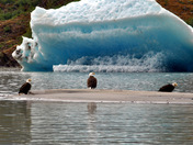 Tongass National Forest--Mendenhall Glacier