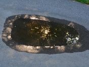 Sun reflection in a pool