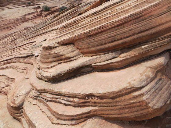 Zion NP
