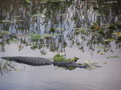 Everglades National Park