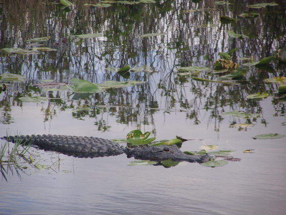 Everglades National Park