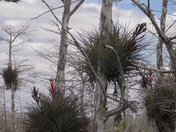Everglades National Park