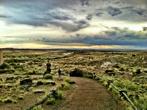 Petrified Forest National Park