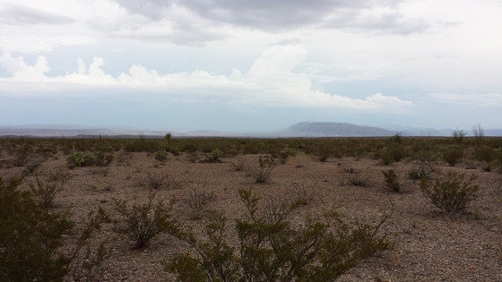 Big Bend National Park