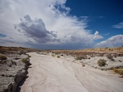 Petrified Forest National Park