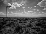 Petrified Forest National Park