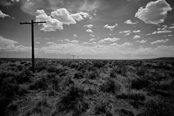 Petrified Forest National Park