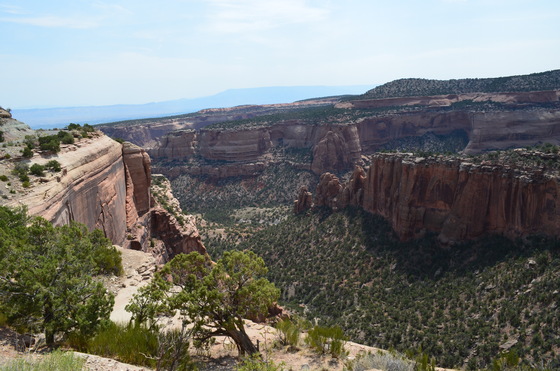 Colorado National Monument