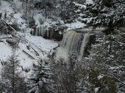 Monongahela National Forest