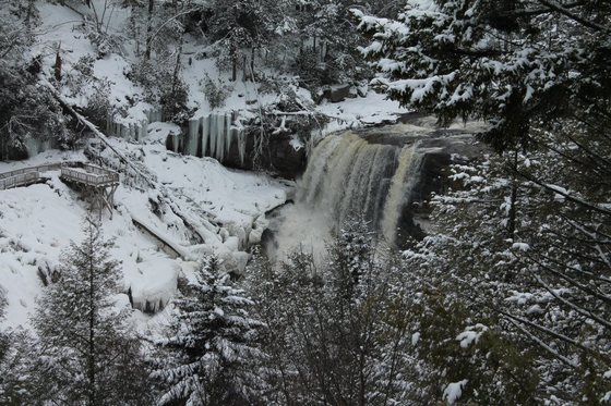 Monongahela National Forest