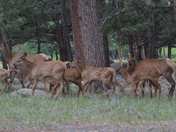Rocky Mountain National Park