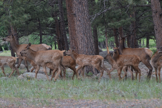Rocky Mountain National Park