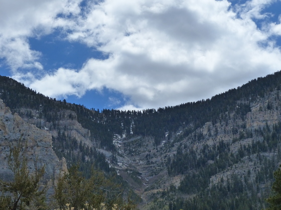 Spring Mountains National Recreation Area