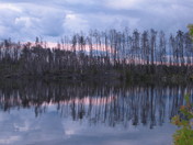 Boundary Waters Canoe Area Wilderness
