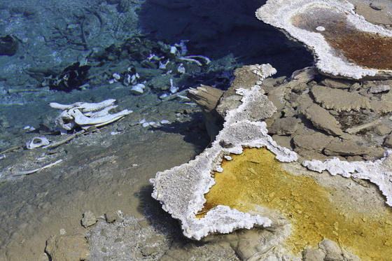 Yellowstone National Park