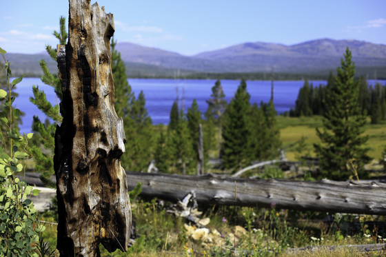 Yellowstone National Park