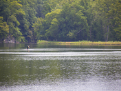 Chesapeake & Ohio Canal