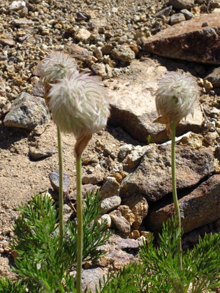 Crater Lake NP