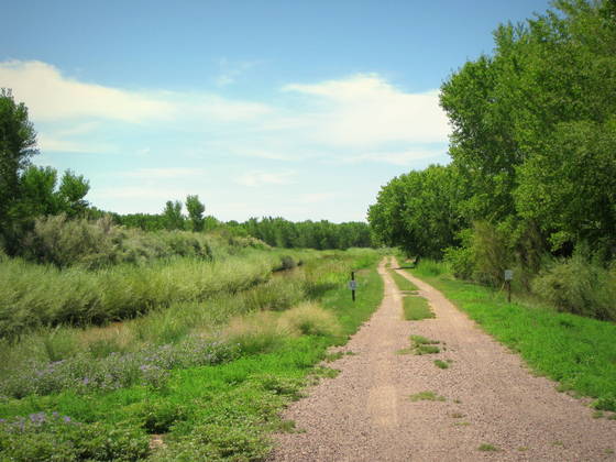 Bosque del Apache National Wildlife Refuge