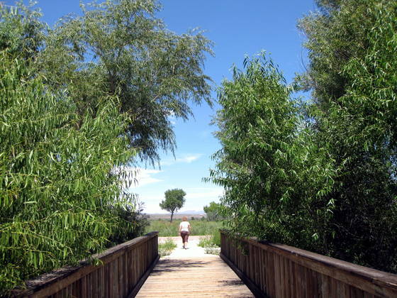 Bosque del Apache National Wildlife Refuge