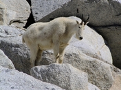 Alpine Lakes Wilderness
