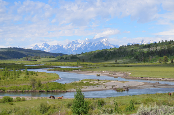 Grand Teton National Park