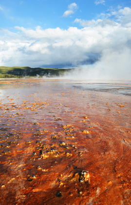 Yellowstone National Park