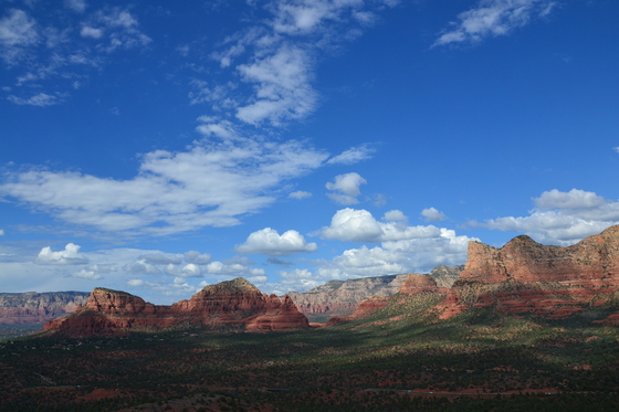 Coconino National Forest