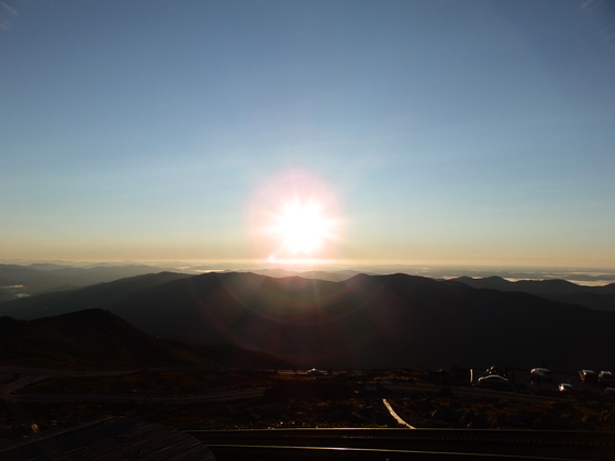 Mt. Washington National forest 