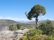 Black Canyon of the Gunnison National Park